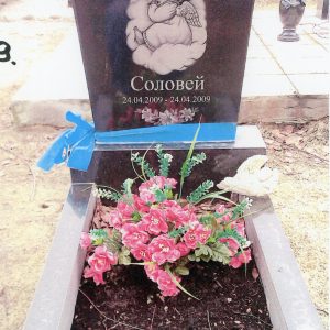 Одинарний пам'ятник: №39